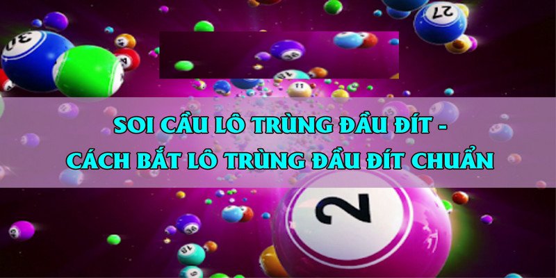 Tìm đầu câm đít câm để nuôi lô trong 3 – 4 ngày tiếp