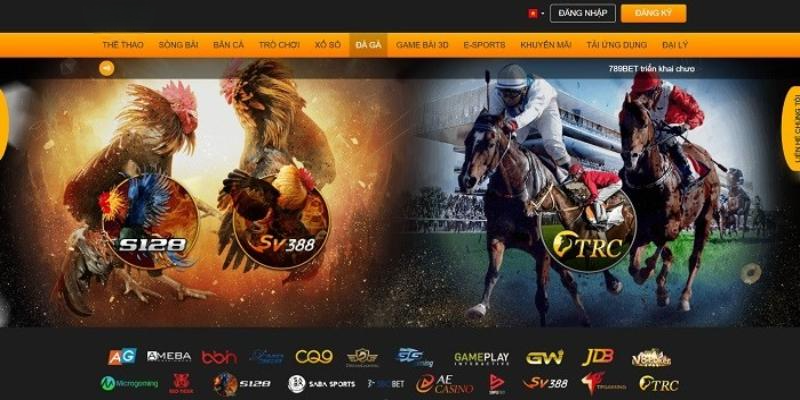 Đá Gà 8XBET với giao diện hiện đại