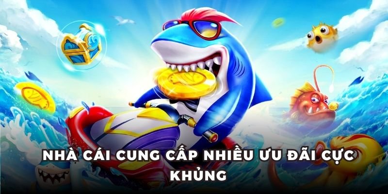 Nhà cái cung cấp nhiều ưu đãi cực khủng